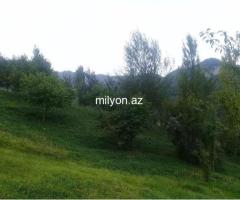 Lahıc İsmayıllıda kupçalı torpaq satılır - 2