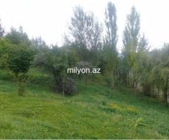 Lahıc İsmayıllıda kupçalı torpaq satılır - 3