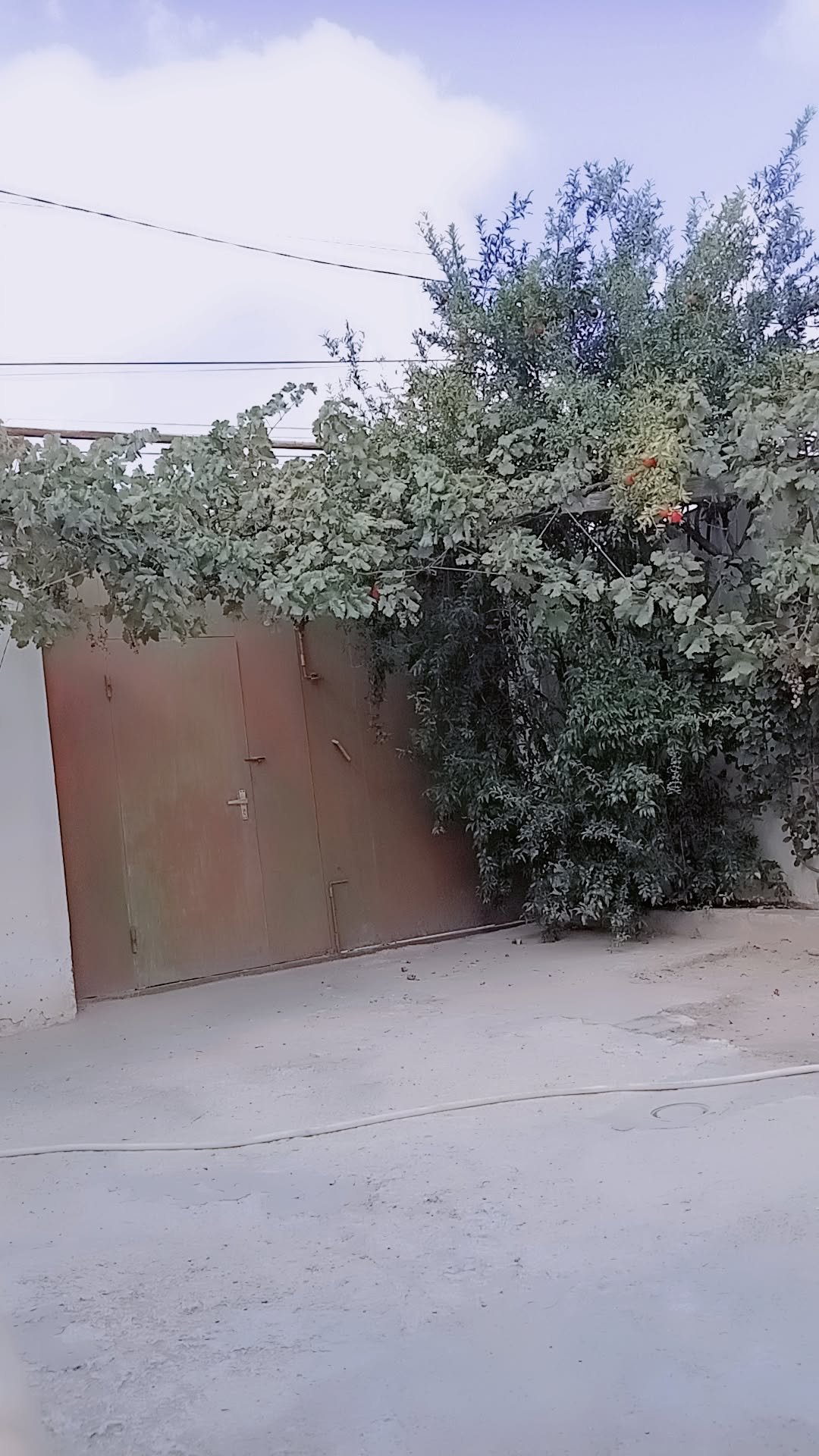 Ev sahibindən Təcili Binəqədidə ümumi sahəsi 1.5 sot olan 4 otaqlı həyət evi satılır