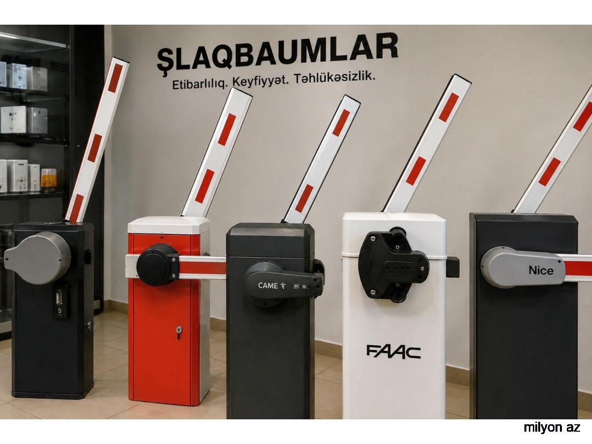 Şlaqbaum sistemleri